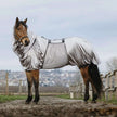 Grigio