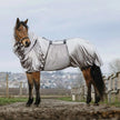 Grigio