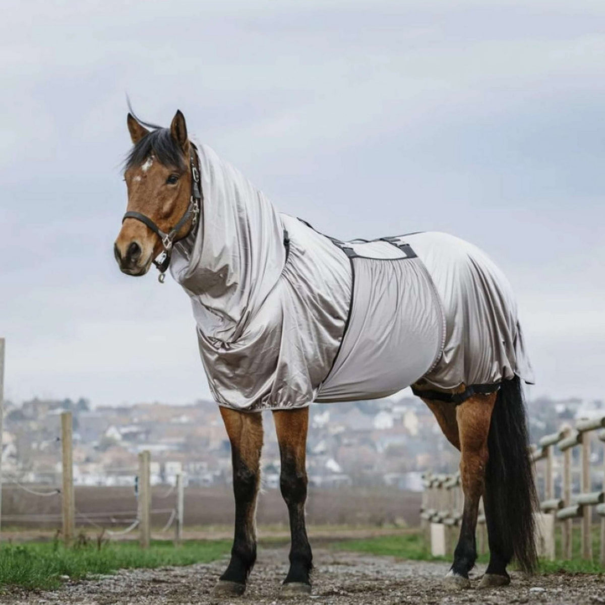 Riding World Coperta per Eczema Grigio