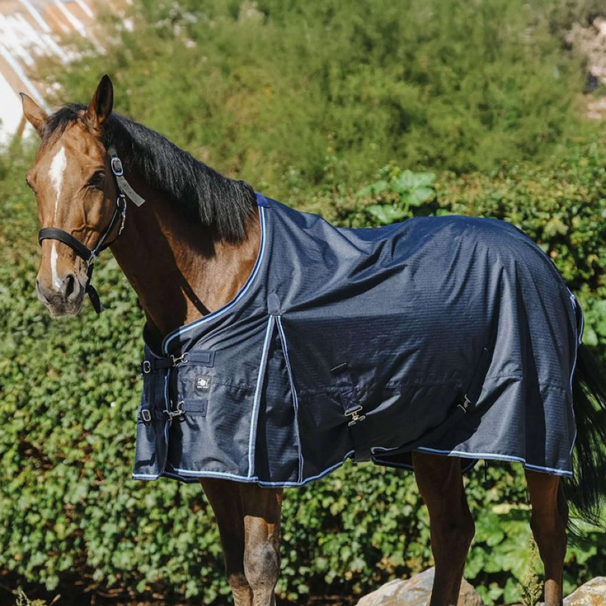 Riding World Tappeto da Esterno ECO 600D 0g Navy