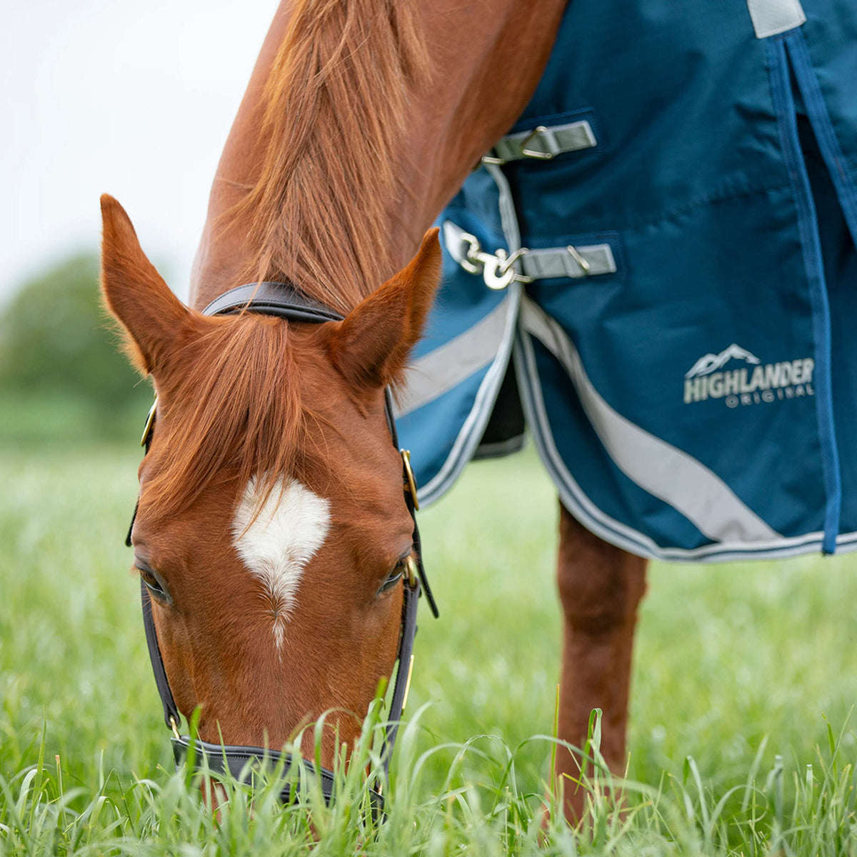 Coperta antipioggia Shires Original 50g con collo Oceano