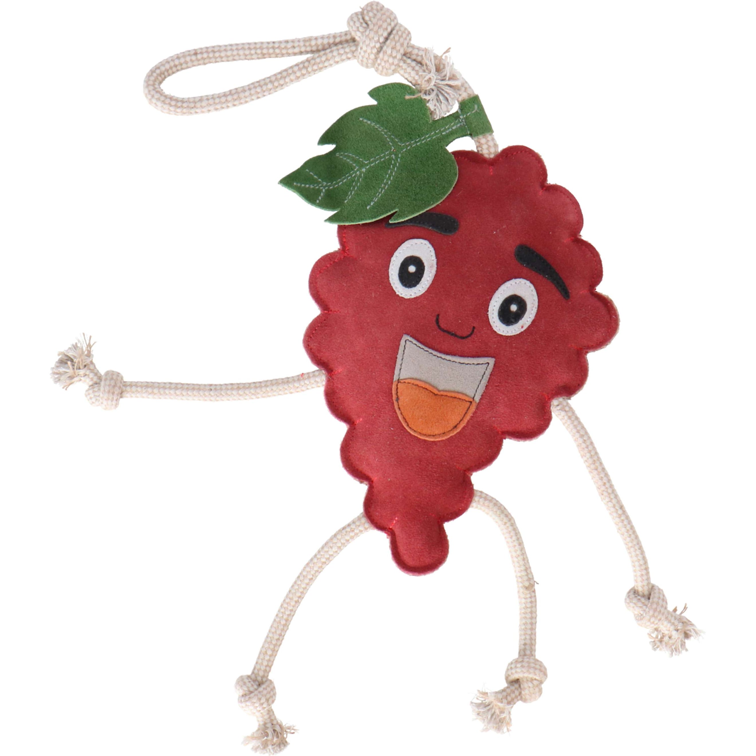 Excellent Horse Foodie Friends Lampone