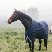 Kentucky Ritorno dell'affluenza alle urne All Weather Comfort Waterproof 0g Navy