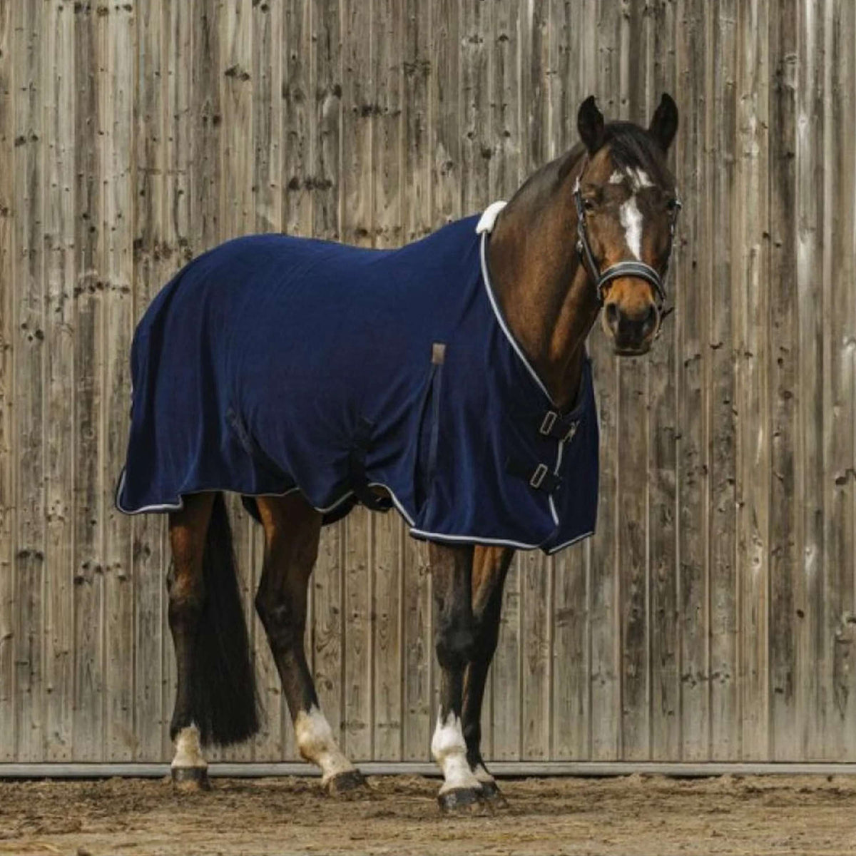 EQUITHÈME Coperta in Pile Vague Navy