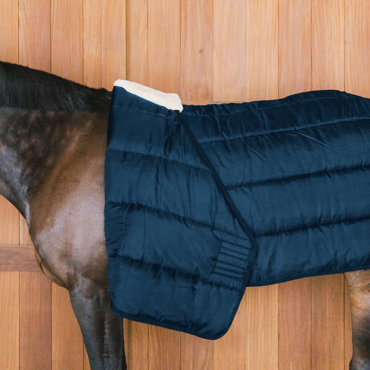 Kentucky Horsewear Fodera comfort per la schiena 100g Navy