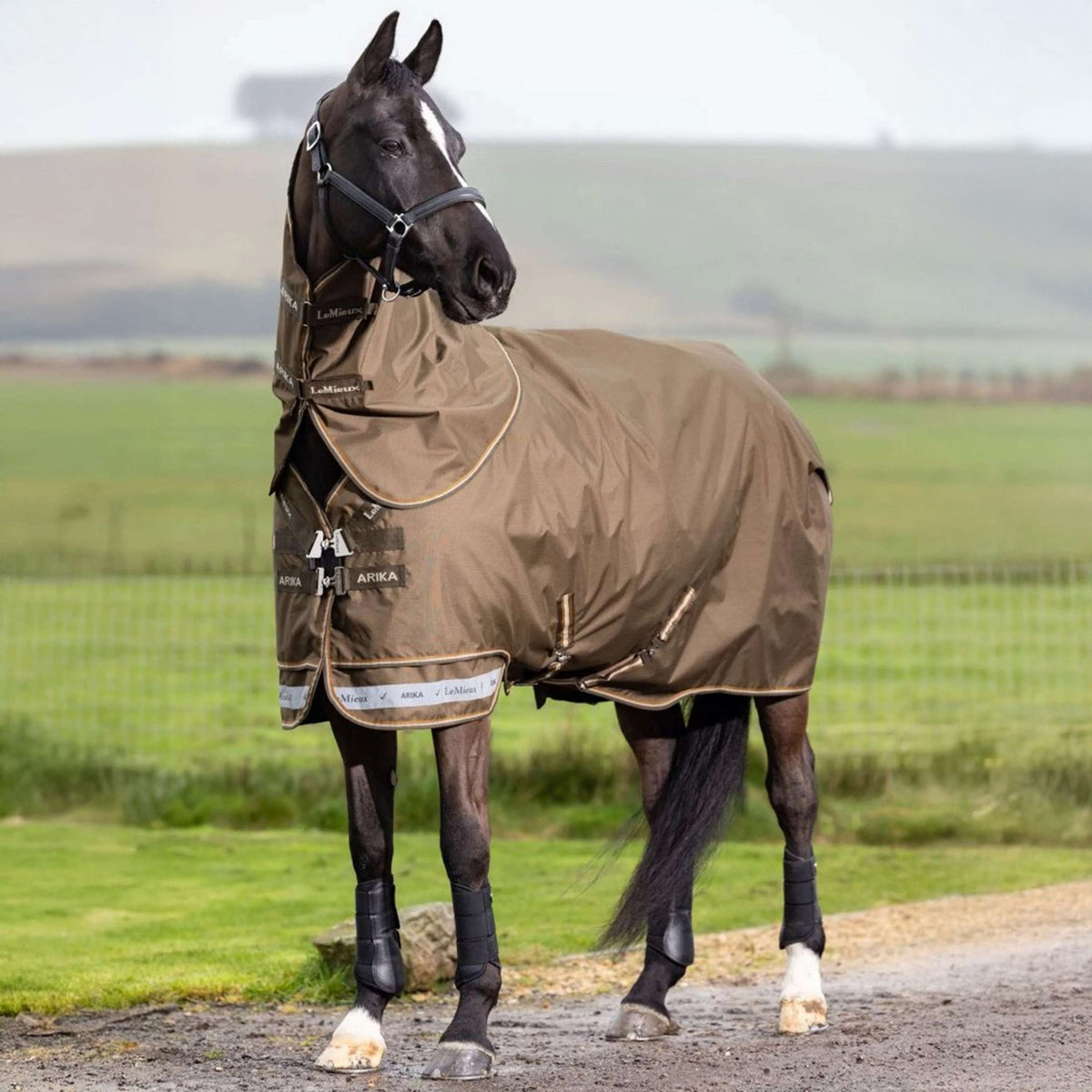LeMieux Coperta da esterno Arika 600D 0 g Alpine