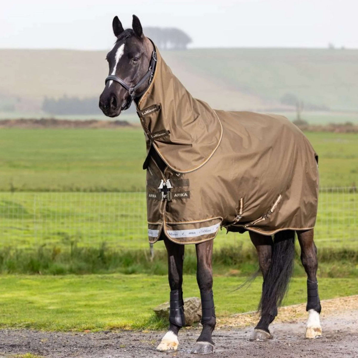 LeMieux Coperta da esterno Arika 600D 0 g Alpine