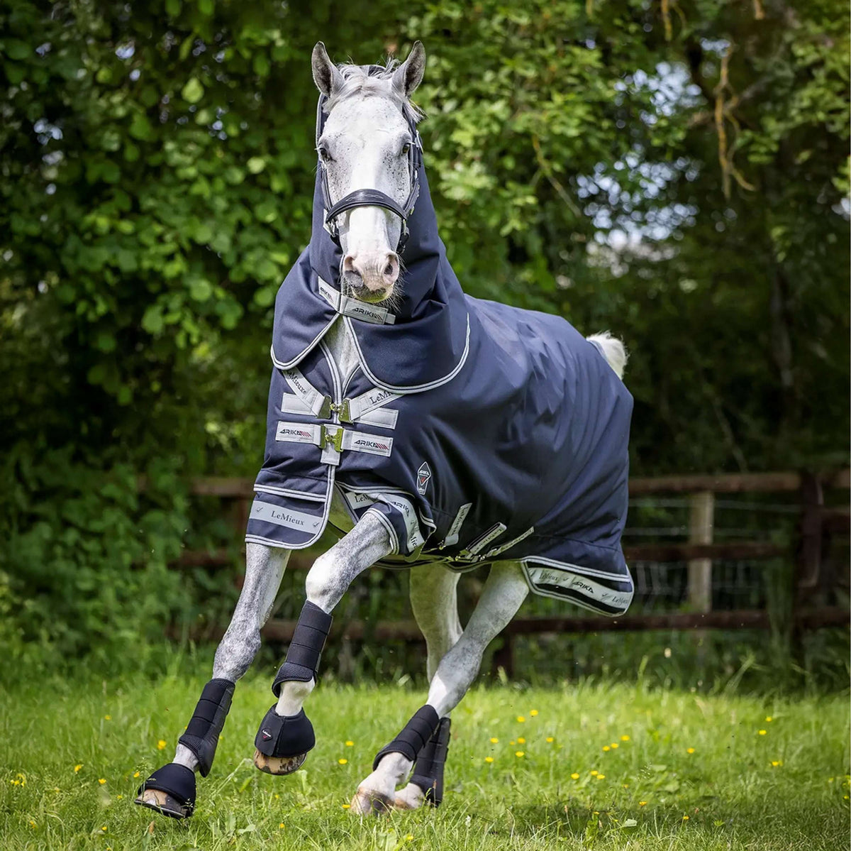 LeMieux Tappeto Arika Storm-Tek Turnout 100g Navy