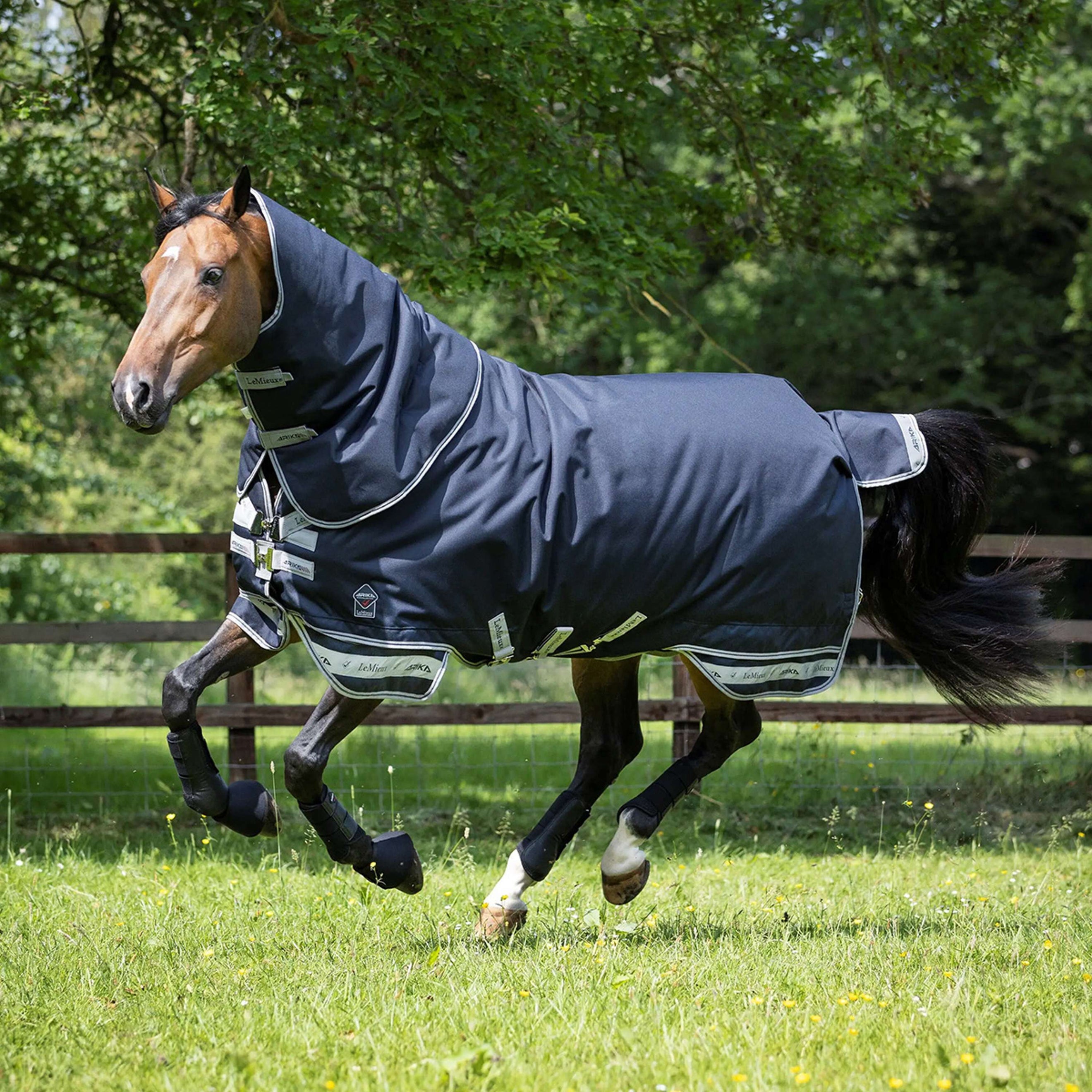 LeMieux Tappeto Arika Storm-Tek Turnout 200 g Navy