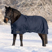 Waldhausen Tappeto da Esterno Nordic 200g Blu notte