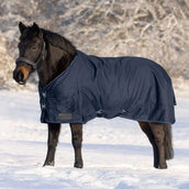 Waldhausen Tappeto da Esterno Nordic 200g Blu notte