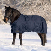 Waldhausen Tappeto da Esterno Nordic 100g Blu notte