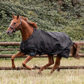 Waldhausen Tappeto da Esterno Nordic 100g Nero