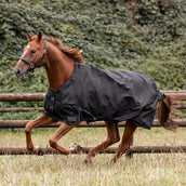 Waldhausen Tappeto da Esterno Nordic 100g Nero