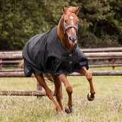 Waldhausen Tappeto da Esterno Nordic 100g Nero