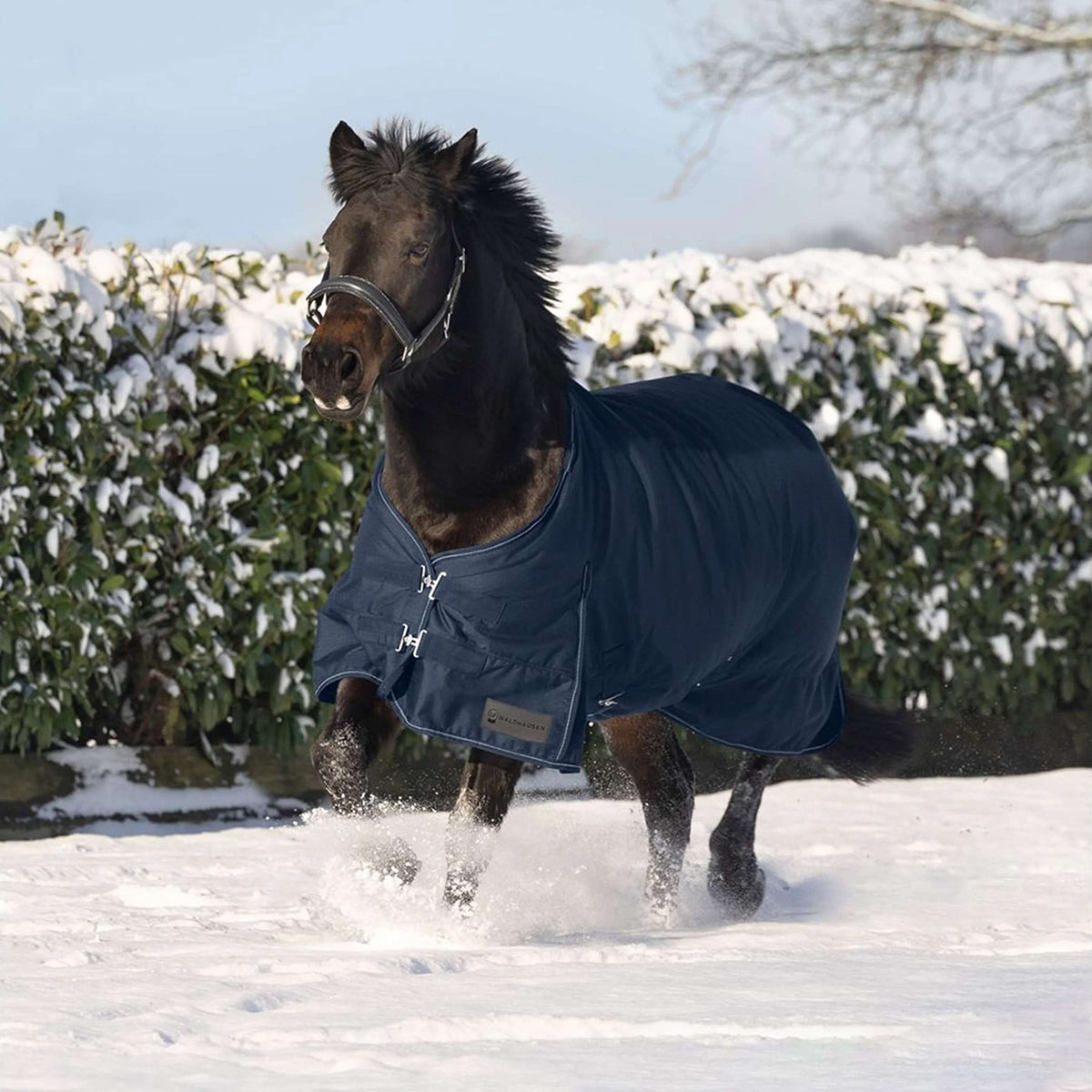 Waldhausen Tappeto da Esterno Nordic 50 g Blu notte