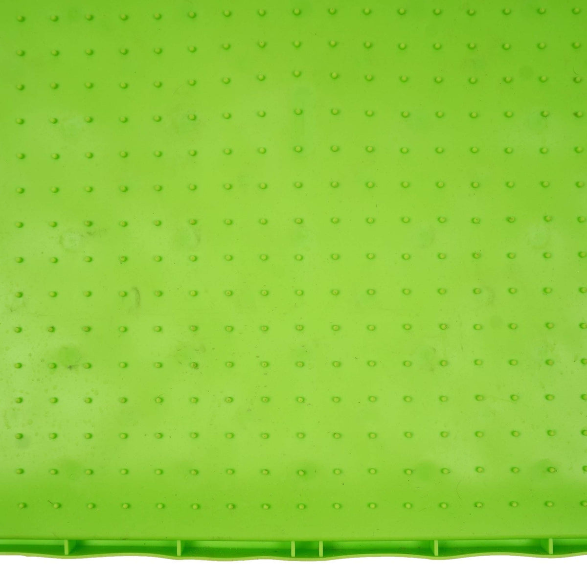 Excellent Tappeto Olfattivo Horse