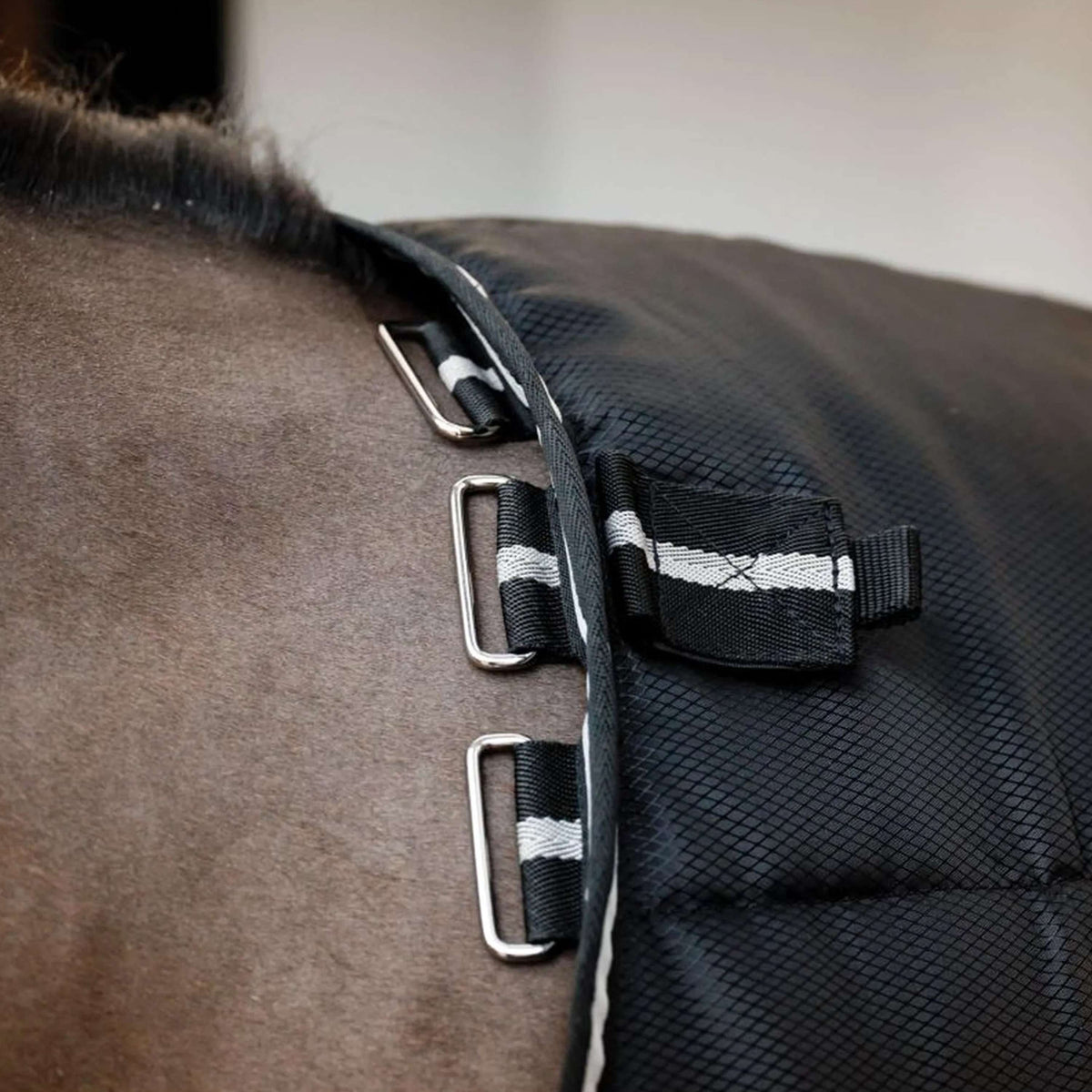 Horseware Easy-Layer Stable Plus Heavy 400g Nero