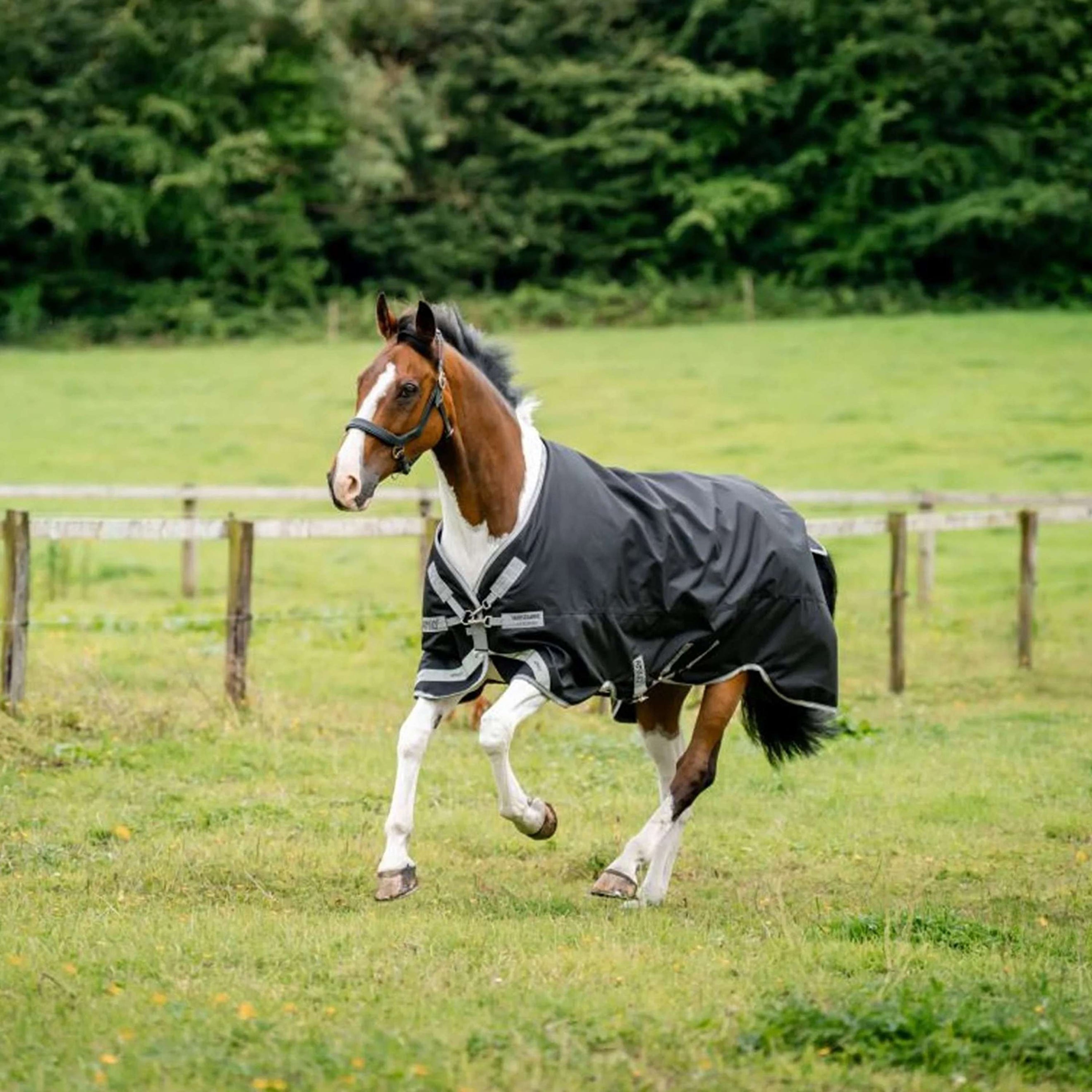 Amigo Bravo 12 Turnout 100g Black/Titanium Grey