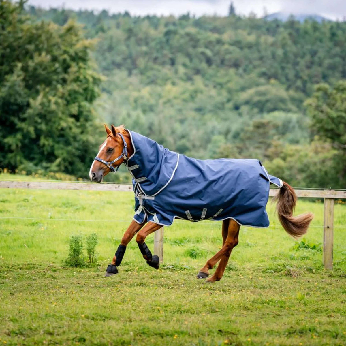 Amigo Turnout 1200D Plus 50g Blu marino/Grigio titanio/Argento