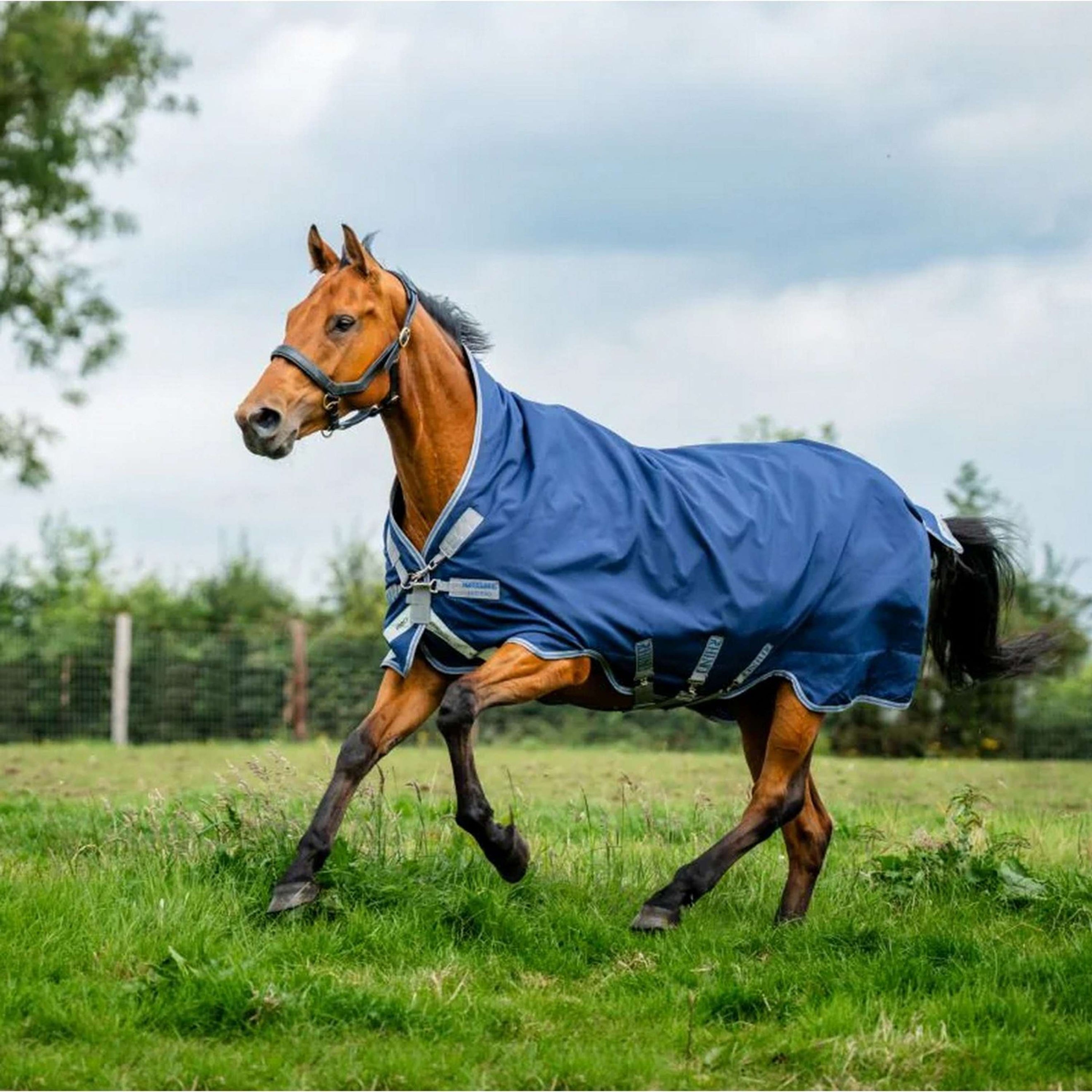 Amigo Bravo 12 Wug Lite 0g Navy/Titanium Grey Amigo Bravo 12 Wug Lite 0g Navy/Titanium Grey