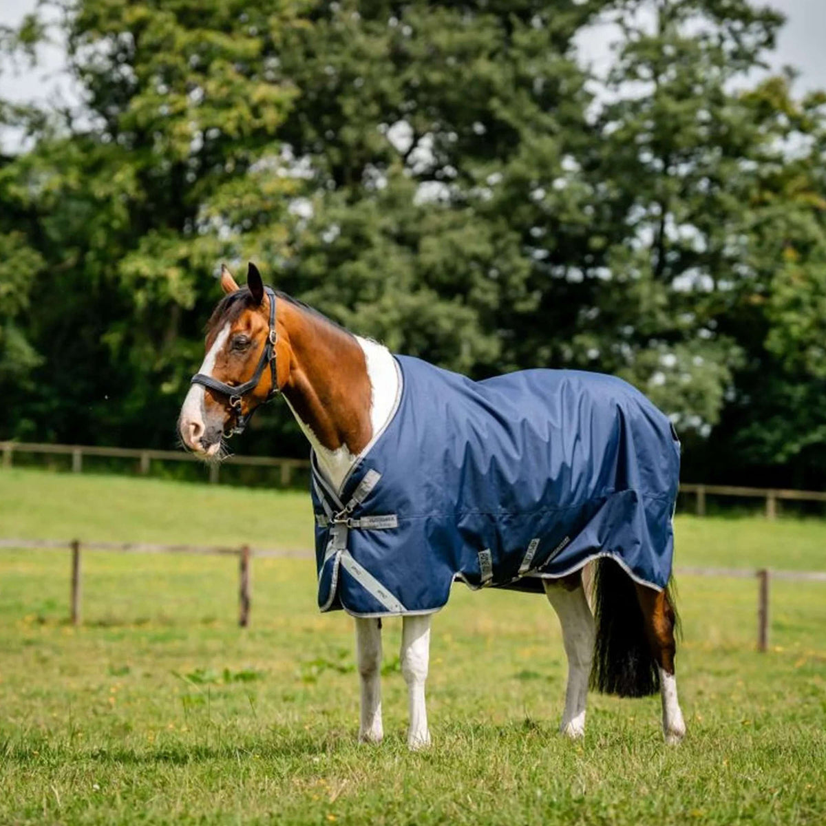 Amigo Bravo 12XL originale Turnout Lite 0g Navy/Titanium Grey