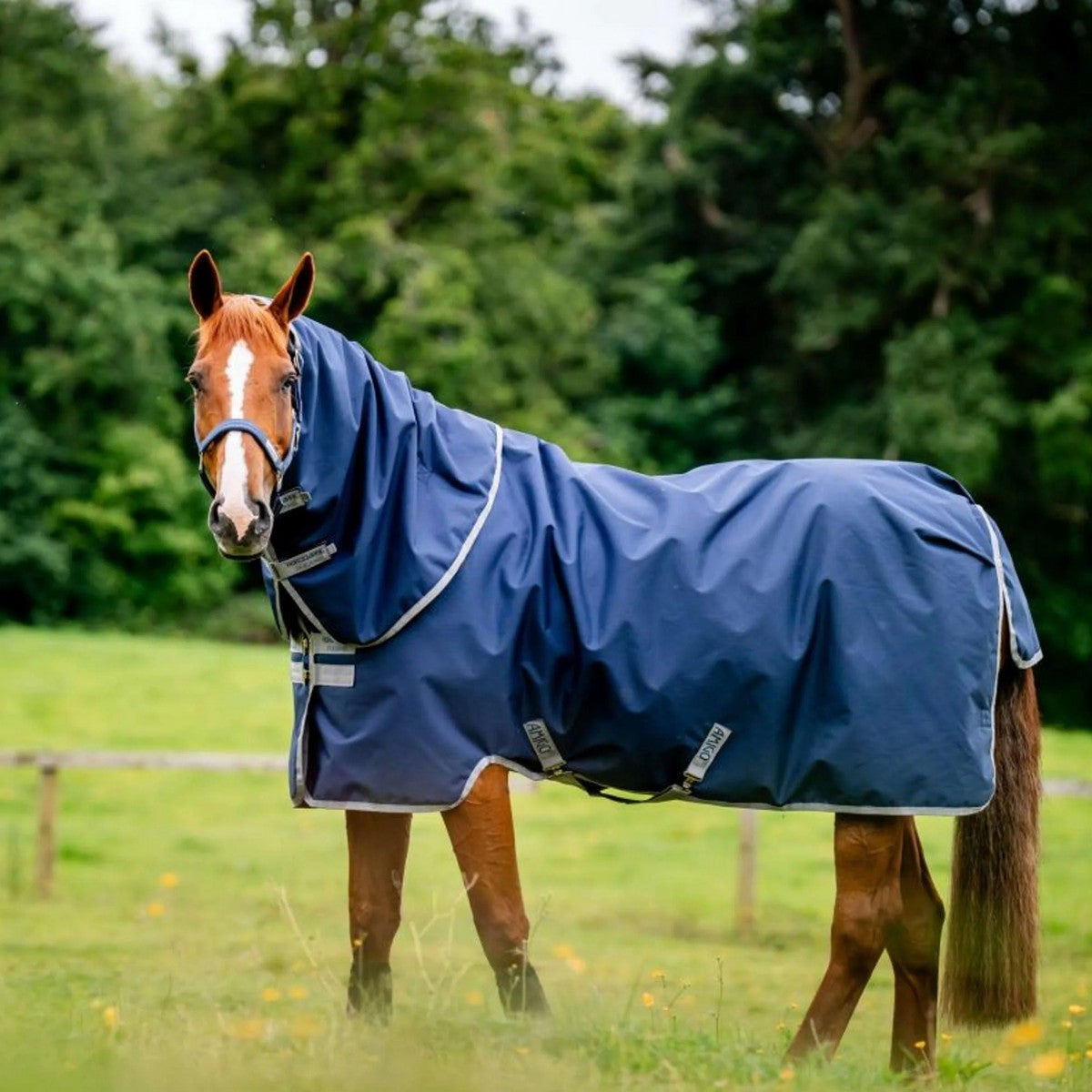 Amigo by Horseware Ripstop 900 Plus 200 g Navy/Titanium Grey
