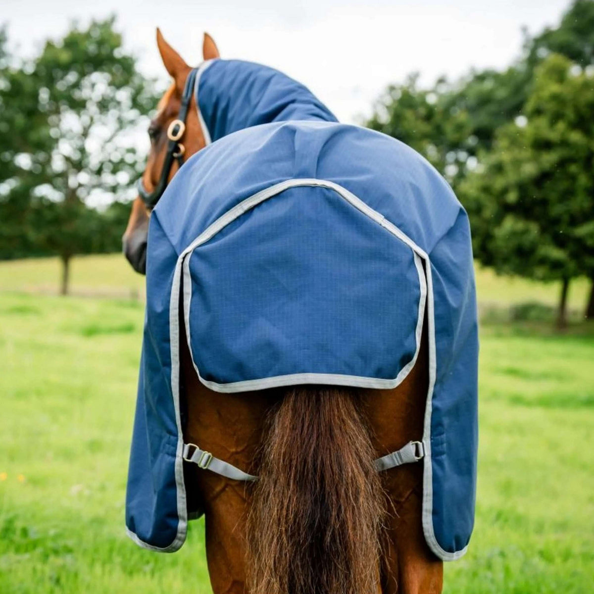Amigo by Horseware Ripstop 900 Plus 200 g Navy/Titanium Grey
