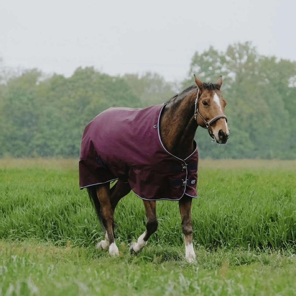 EQUITHÈME Tappeto da Esterno 1200D 150g Standard Borgogna