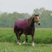 EQUITHÈME Tappeto da Esterno 1200D 150g Standard Borgogna