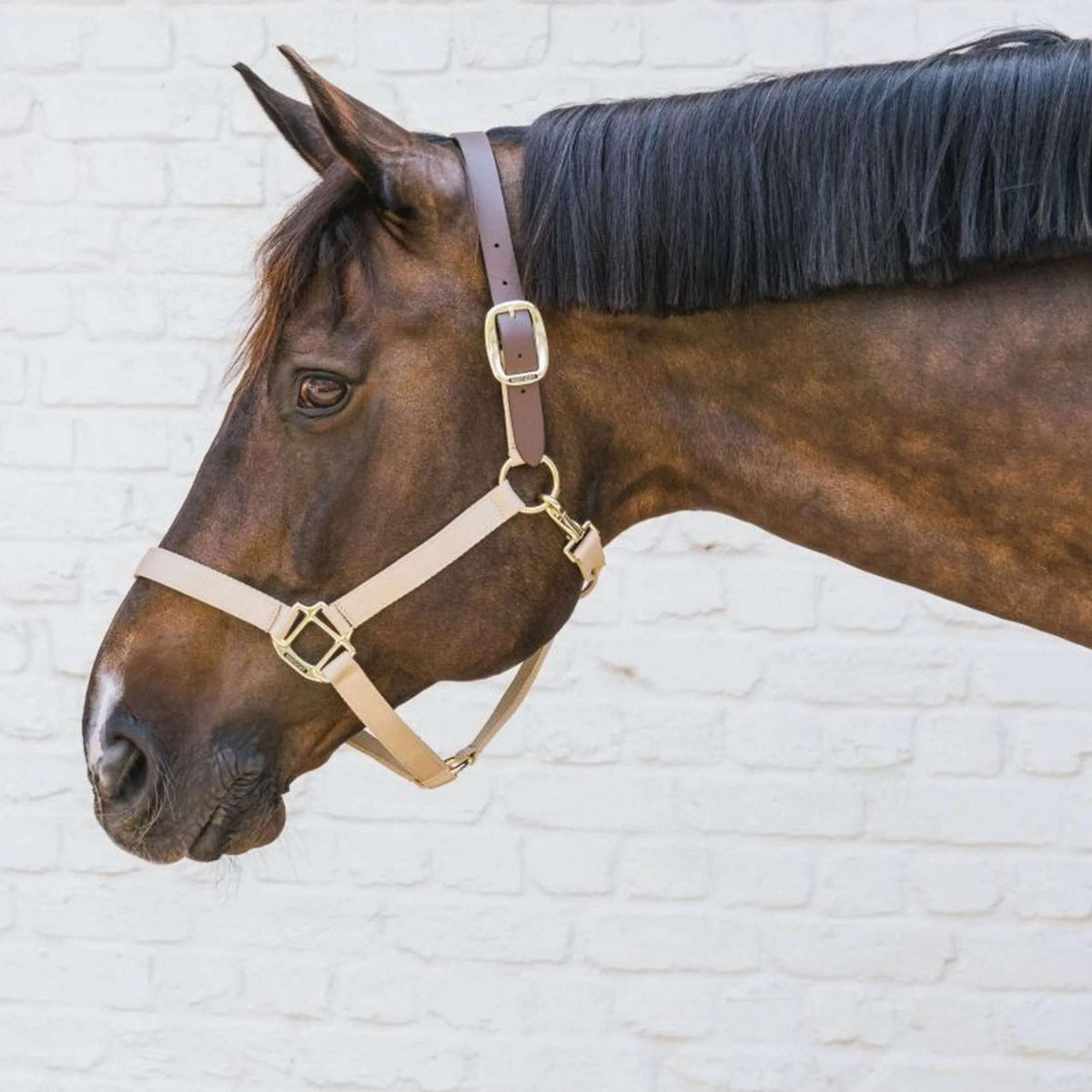 Kentucky Horsewear Capezzina Nylon Breakaway Marrone