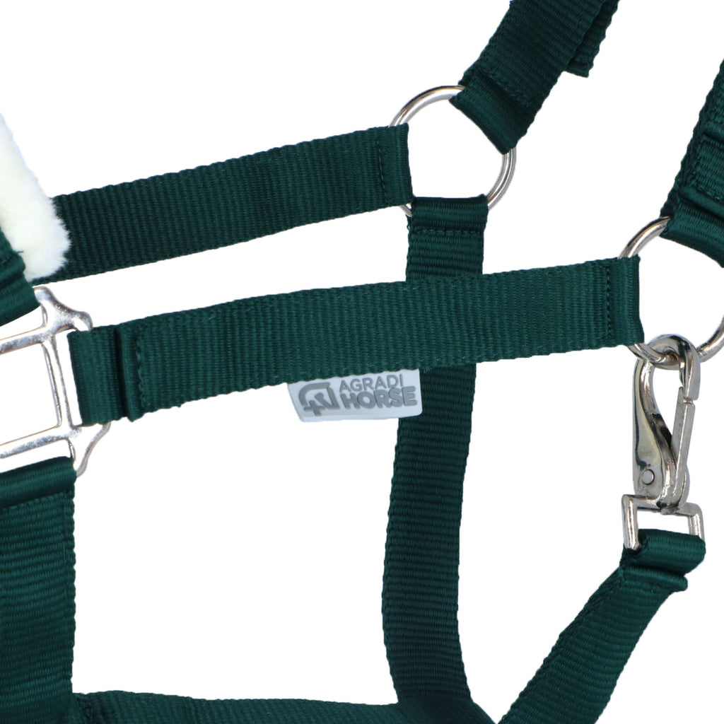 Agradi Horse Cavezza First Fir Green