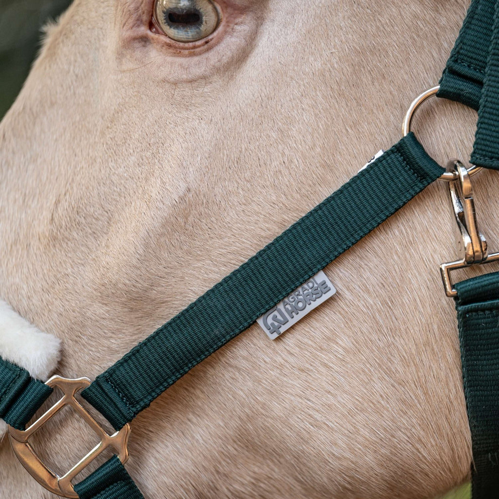 Agradi Horse Cavezza First Fir Green