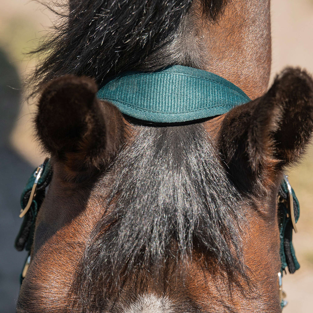 Agradi Horse Cavezza Athletic Fir Green