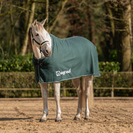 Agradi Horse Coperta in Pile Economic Fir Green