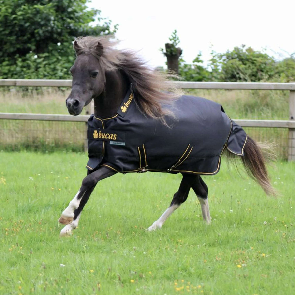 Bucas Irish Turnout 100g Nero/Oro