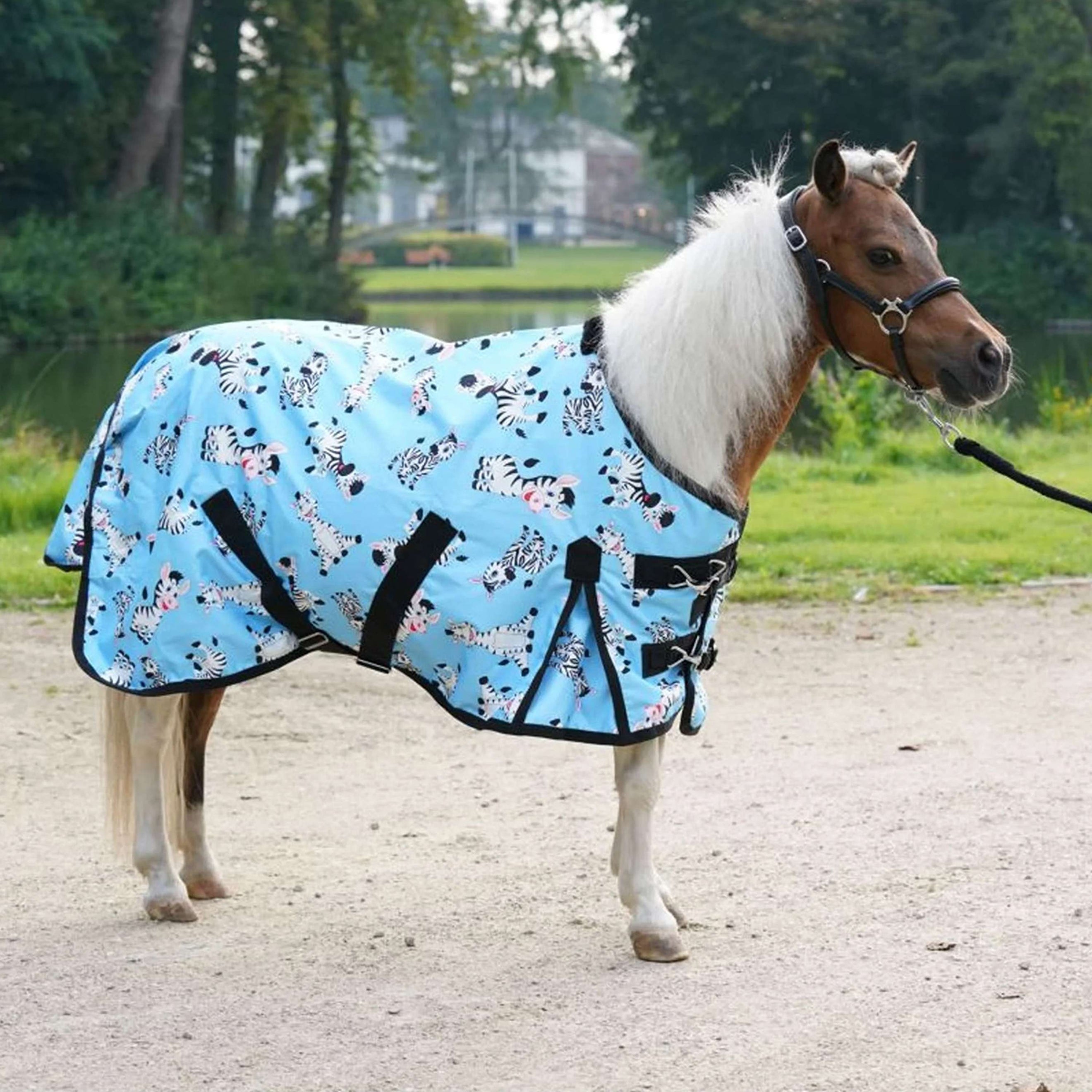 HB Coperta da esterno Mr Squeez Azzurro