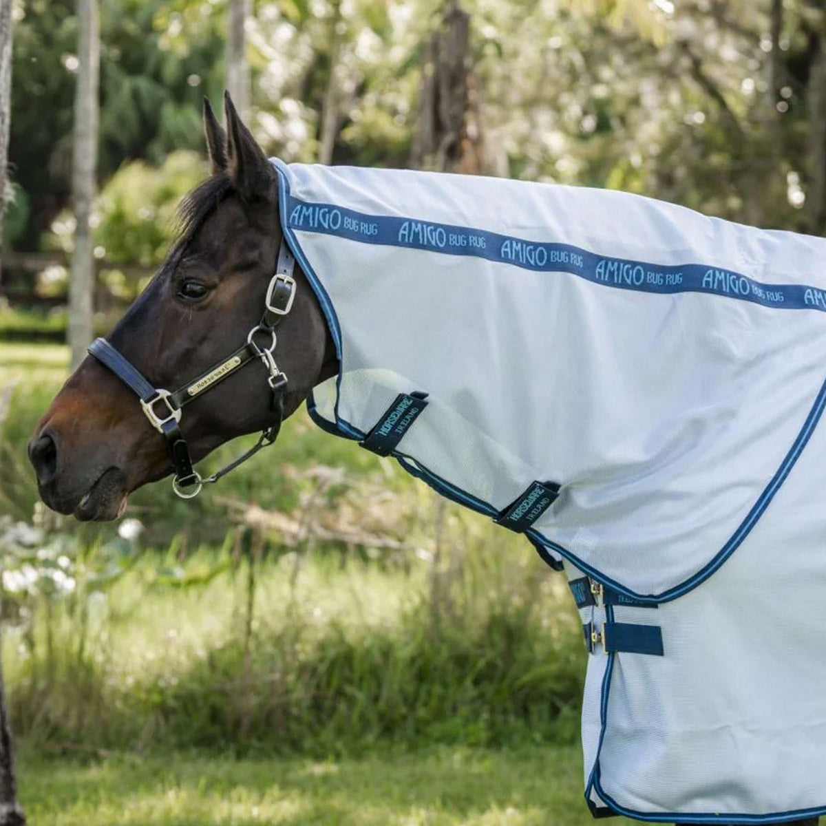 Amigo Bug Rug XL Plus Azure Blue/Navy/Electric Blue