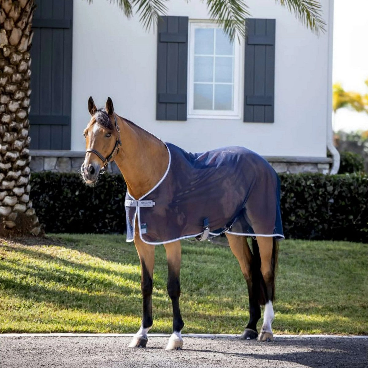 Amigo Net Cooler Blu marino/Grigio titanio/Argento