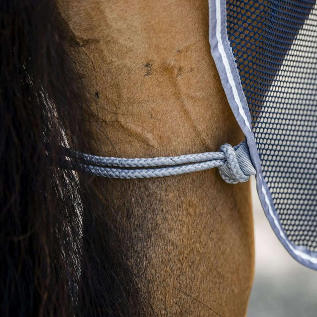 Amigo Net Cooler Blu marino/Grigio titanio/Argento