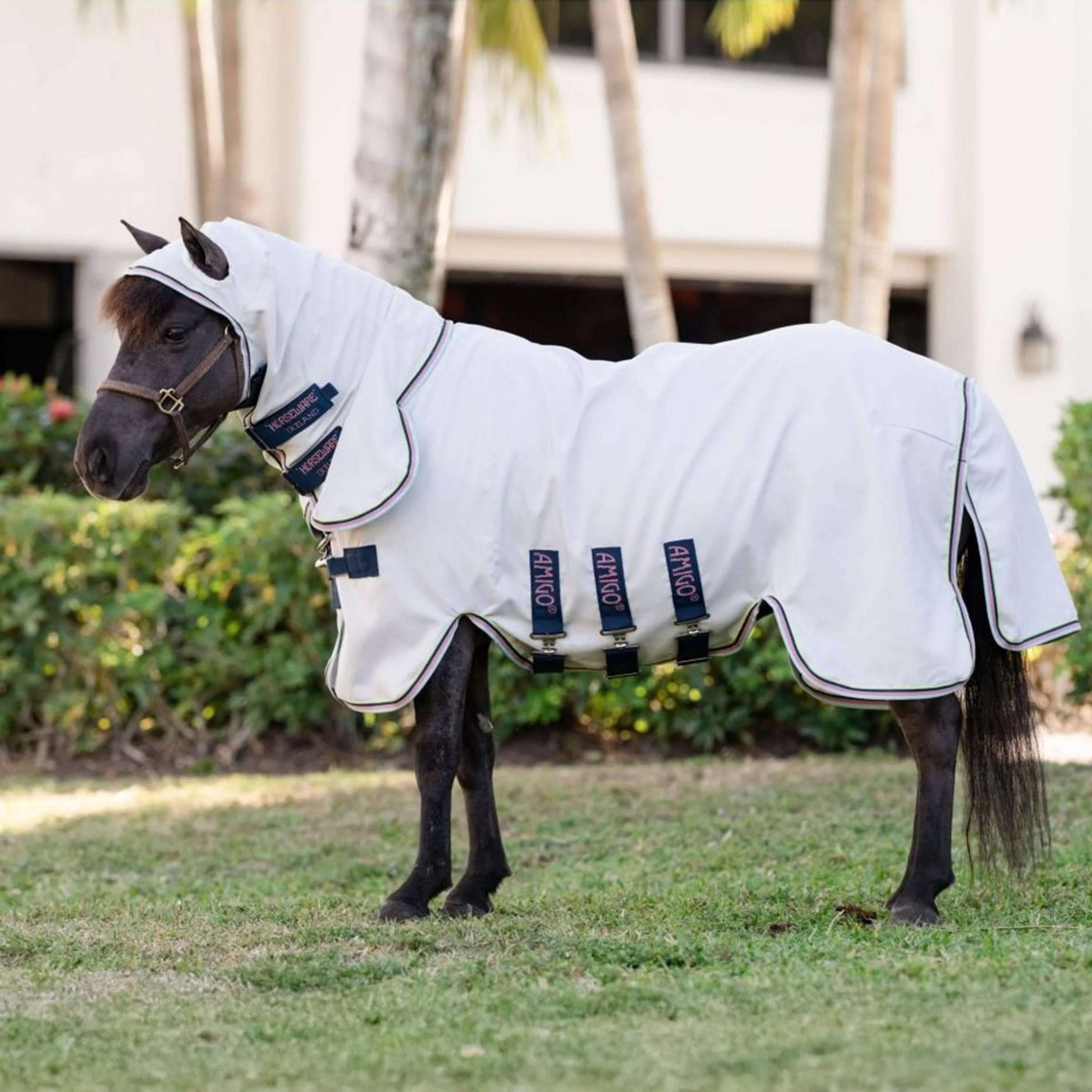 Amigo Felpa con cappuccio Ripstop Petite Argento/Lime/Blu marino/Rosa/Blu Amigo Felpa con cappuccio Ripstop Petite Argento/Lime/Blu marino/Rosa/Blu