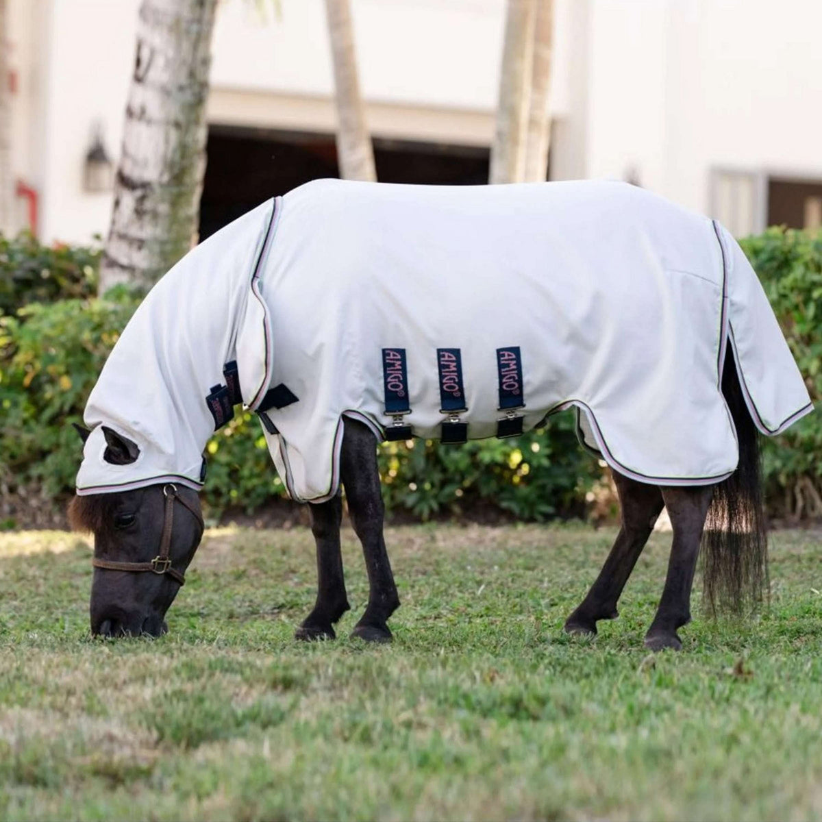 Amigo Felpa con cappuccio Ripstop Petite Argento/Lime/Blu marino/Rosa/Blu