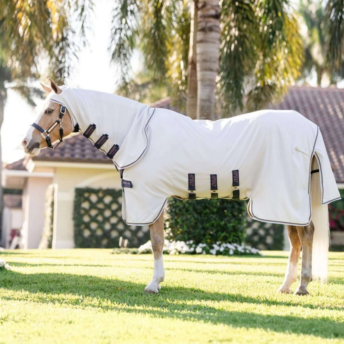 Amigo Felpa con cappuccio Ripstop Pony Argento/Lime/Blu marino/Rosa/Blu