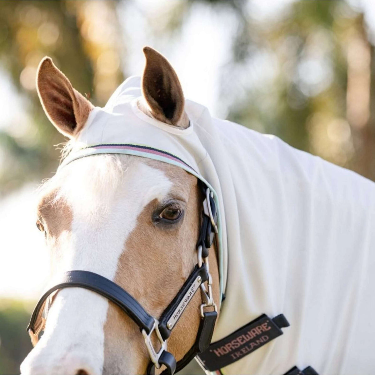 Amigo Felpa con cappuccio Ripstop Pony Argento/Lime/Blu marino/Rosa/Blu