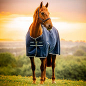 Amigo Ripstop 900D 50g Fleece Lined Marina di Witney