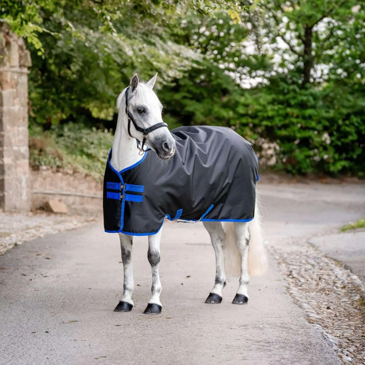 Amigo Ripstop 900D Pony 100g Nero/Blu classico