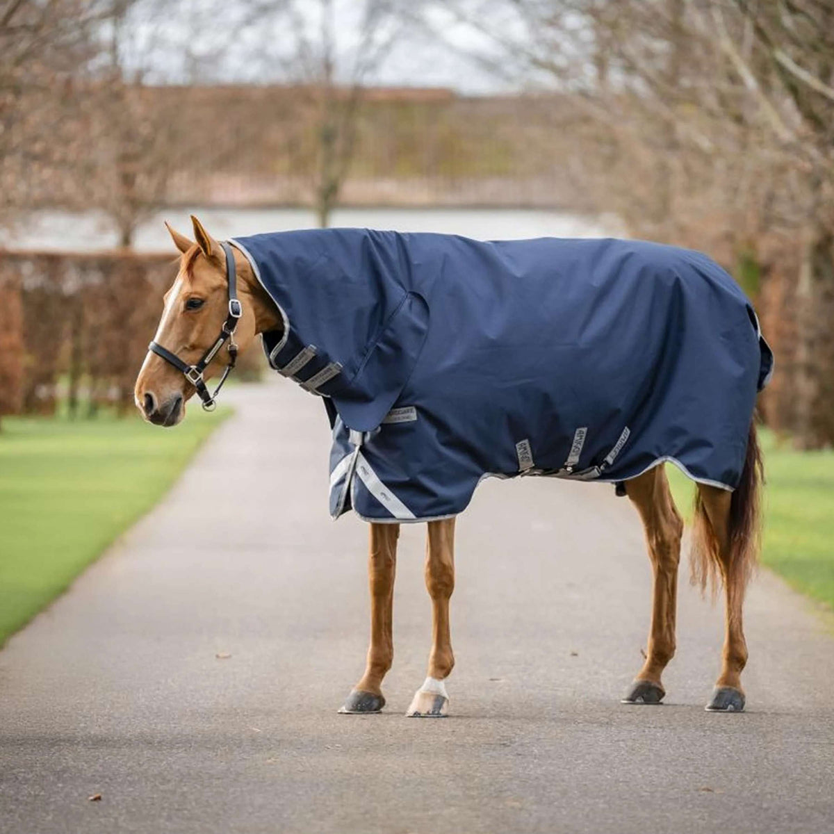 Amigo Turnout 1200D Integrated 0g Blu marino/Grigio titanio/Argento