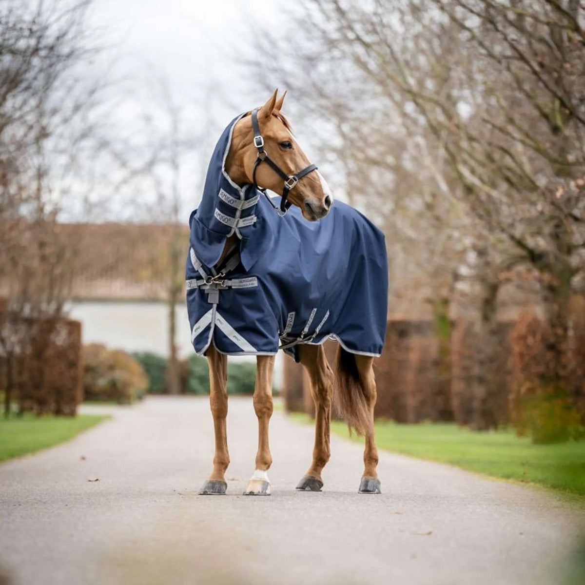 Amigo Turnout 1200D Integrated 0g Blu marino/Grigio titanio/Argento