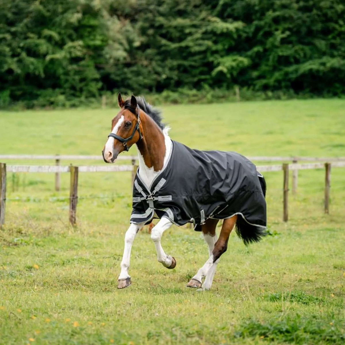 Amigo Turnout 1200D XL 50g Nero/Grigio Titanio/Argento