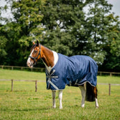 Amigo Turnout 1200D XL 50g Blu marino/Grigio titanio/Argento